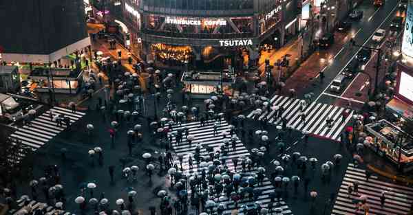 属牛2025年12月4日运势,属牛人2025年12月4日财运,生肖牛2025年12月4日运势